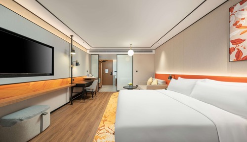Room, 1 King Bed, Accessible