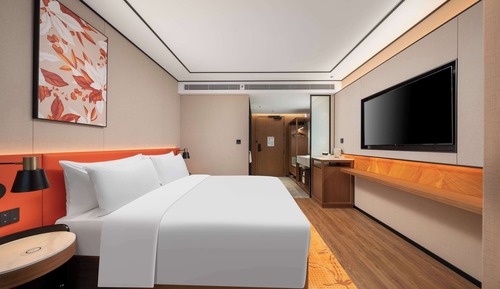 Room, 1 King Bed