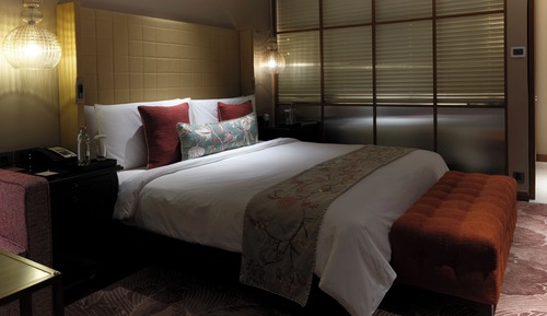 Room, 1 King Bed (The Orlov)