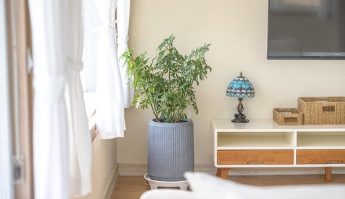 Basic Room, 1 Bedroom (Room 201)