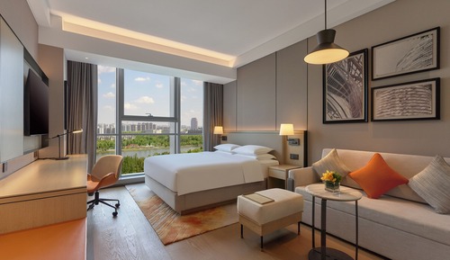 Room, 1 King Bed with Sofa bed, City View