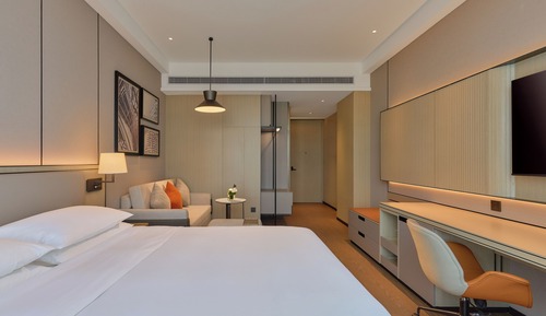 Room, 1 King Bed with Sofa bed