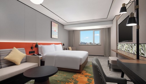 Basic Room, 1 King Bed