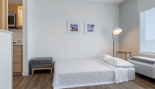 Studio, 1 King Bed with Sofa bed