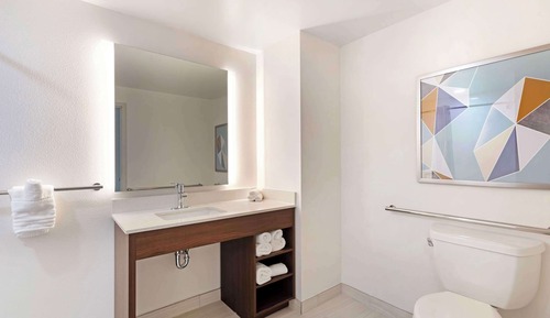 Suite, 1 King Bed with Sofa bed, Non Smoking (Roll-In Shower)