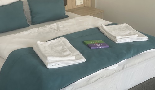 Comfort Apartment