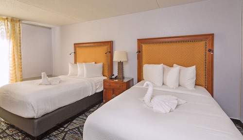 Basic Double Room