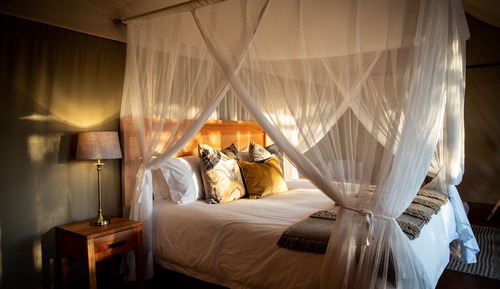 Luxury Tent