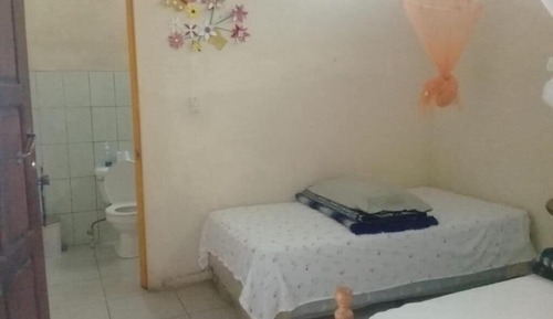 Basic Twin Room