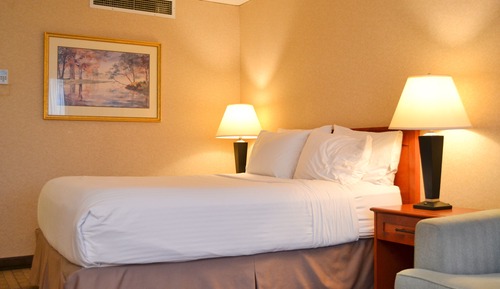 Standard Single Room, 1 Double Bed