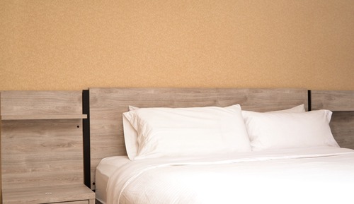 Standard Single Room, 1 King Bed