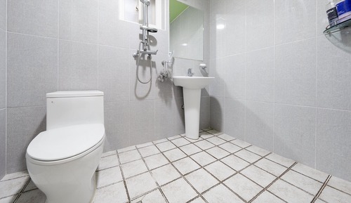 Basic Room, 1 Bedroom (105)