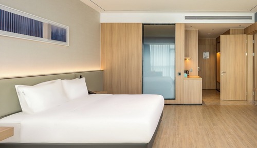 Standard Room, 1 King Bed, Accessible