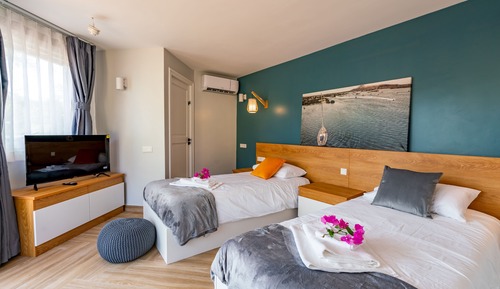 Classic Double or Twin Room, 2 Twin Beds, Patio, Garden View