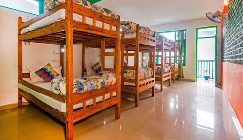 Classic Shared Dormitory