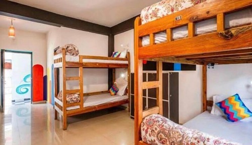 Deluxe Shared Dormitory