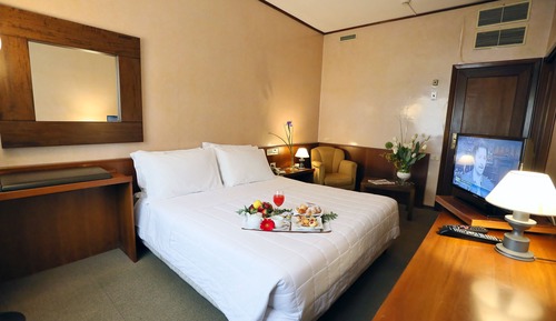 Standard Double or Twin Room