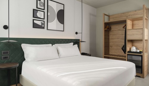 Room, 1 King Bed