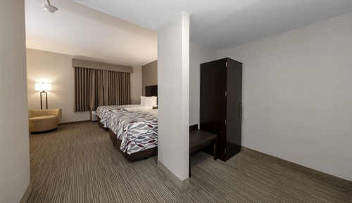 Suite, 2 Queen Beds, Accessible, Non Smoking (Lake View)
