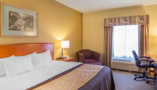 Standard Room, 1 King Bed, Non Smoking