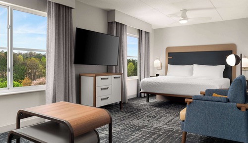Suite, 1 King Bed with Sofa bed, Accessible, Non Smoking (Roll-in Shower)