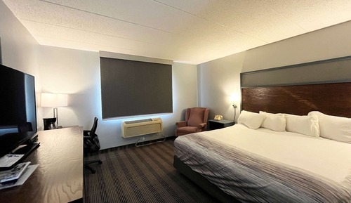 Room, 1 King Bed, Non Smoking