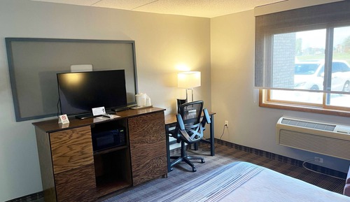 Room, Non Smoking (1 Queen Murphy Bed)
