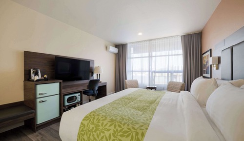 Room, 1 King Bed, Non Smoking