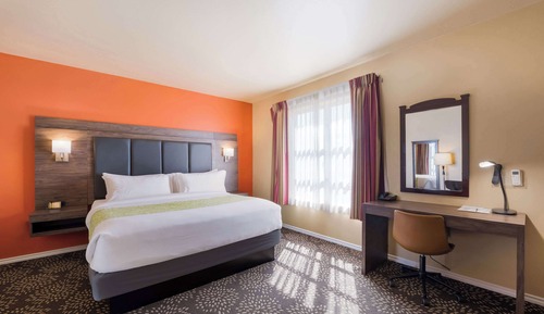 Room, 1 King Bed, Non Smoking
