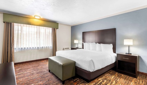 Standard Room, 1 King Bed, Non Smoking, Refrigerator & Microwave (Shower Only;Larger Room)