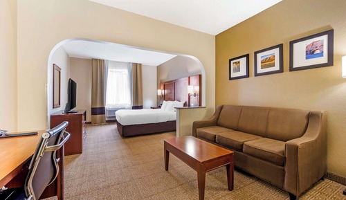 Suite, 1 King Bed with Sofa bed, Non Smoking (Pet Friendly)