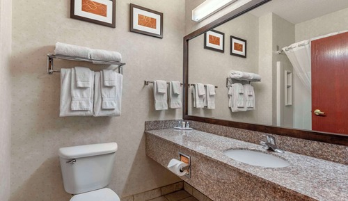 Business Suite, 1 King Bed with Sofa bed, Non Smoking (Pet Friendly)