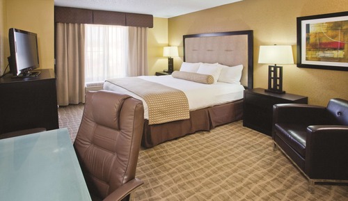 Room, 1 King Bed, Accessible, Non Smoking (Mobility/Hearing, Roll-In Shower)