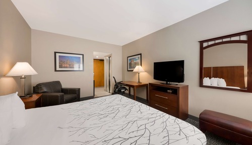 Suite, 1 King Bed, Accessible, Bathtub