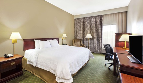 Room, 1 King Bed, Accessible