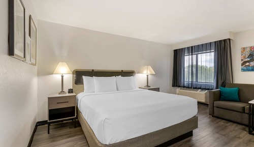 Deluxe Studio Suite, 1 King Bed, Non Smoking