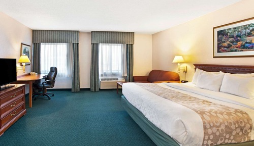 Room, 1 King Bed, Non Smoking