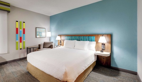Room, 1 King Bed, Accessible, Non Smoking