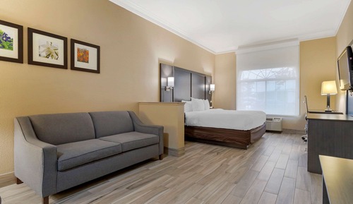 Suite, 1 King Bed with Sofa bed, Non Smoking (Upgrade)