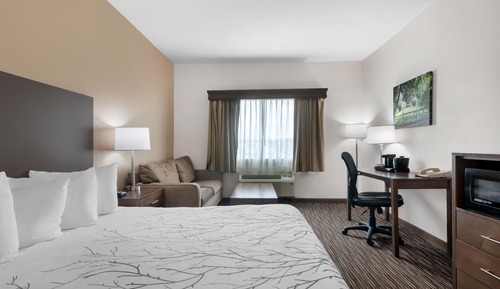 Standard Room, 1 King Bed, Accessible, Non Smoking (with Sofabed)