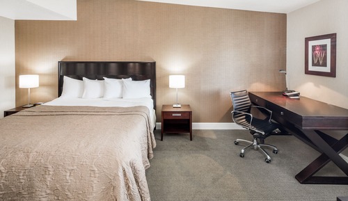 Executive Suite, 1 King Bed (King)