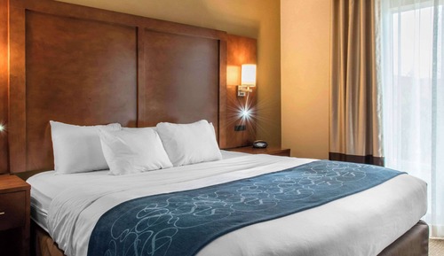 Suite, 1 King Bed with Sofa bed, Non Smoking (Efficiency, Upgrade)