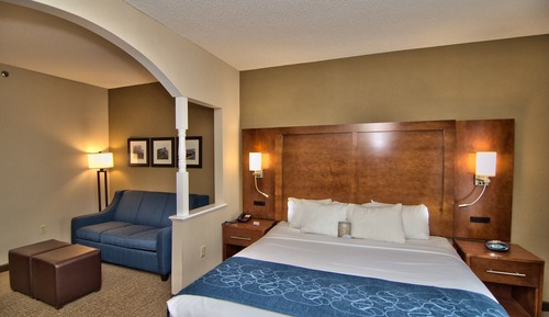 Suite, 1 King Bed with Sofa bed, Non Smoking