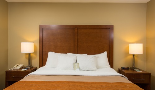 Suite, 1 King Bed with Sofa bed