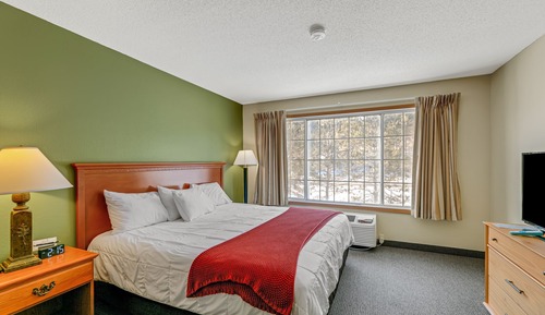 Room, 1 King Bed