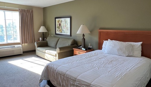 Room, Multiple Beds