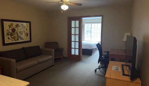 1 King Suite with Sofa bed