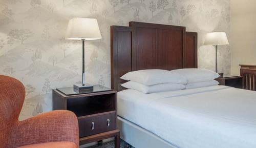 Superior Room, 1 King Bed, Non Smoking