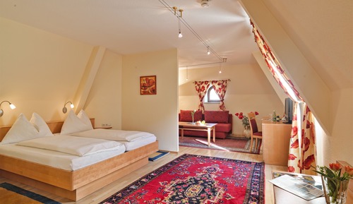 Superior Single Room