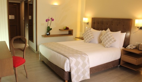 Premium Room, 1 Queen Bed